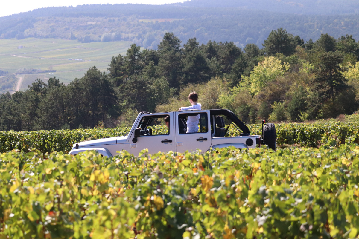 wine-tour-vignoble-bourgogne-sensation-vin