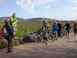 Cycling into the vineyards