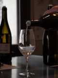 Dégustation vin blanc - Domaine B. Guyot