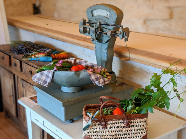 Que de tomates, concombres et courgettes dans le potager bio!