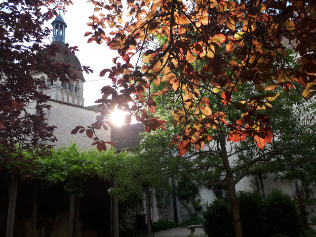 jardin Boussard