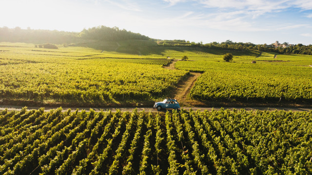 2024-08_CRT-Oenotourisme_intuive_95