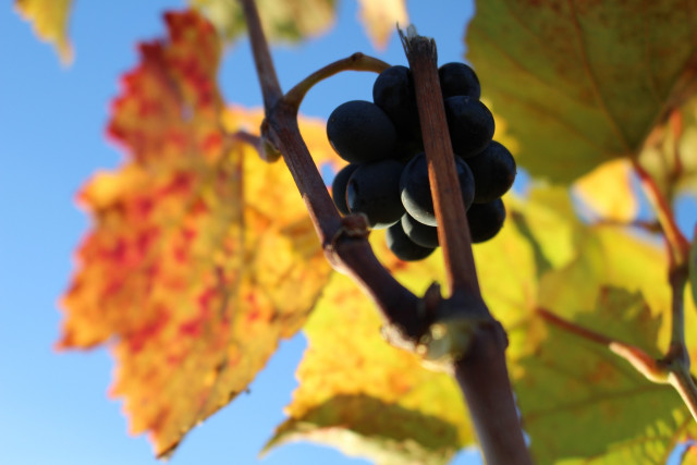 386598925_803316338460963_4308461862844720333_n