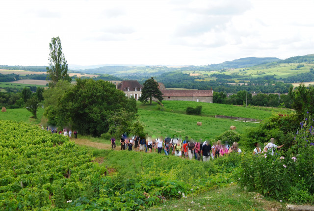 Groupe dans les vignes