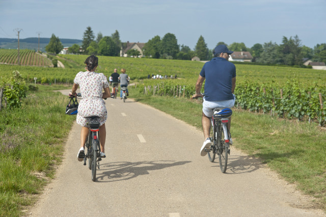 Visite du vignoble de Bourgogne