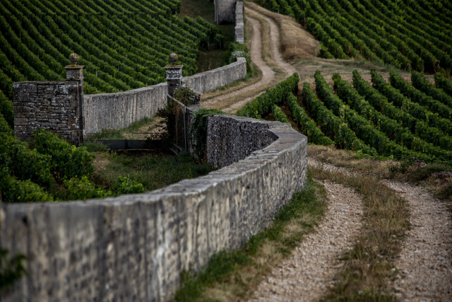 Côte de Nuits