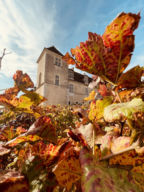 Clos de Vougeot