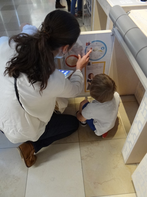 Le Cassissium, musée adaptée aux enfants