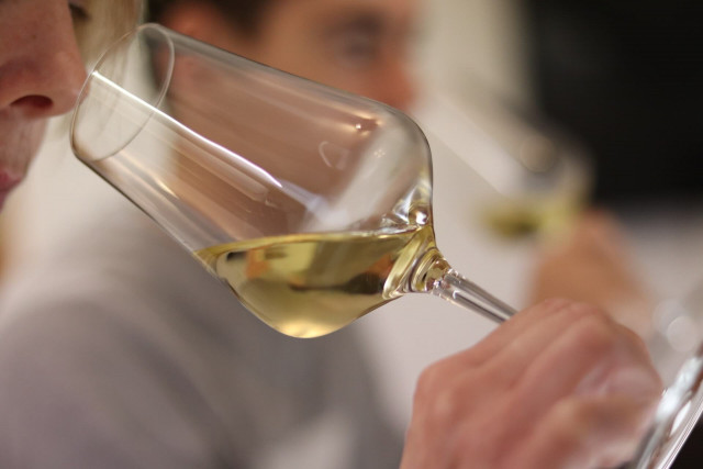 Sensation Vin - Sentir le vin blanc