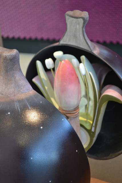 Le Cassissium, anatomie du cassis