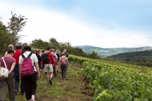 nolay-marche-162-4593709