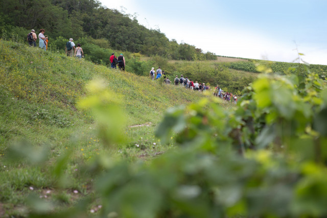 nolay-marche-169-4593712