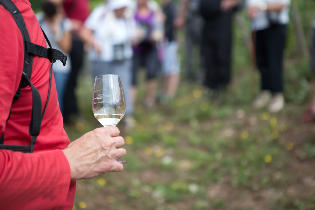 nolay-marche-242-4593711