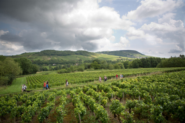 nolay-marche-88-4593710