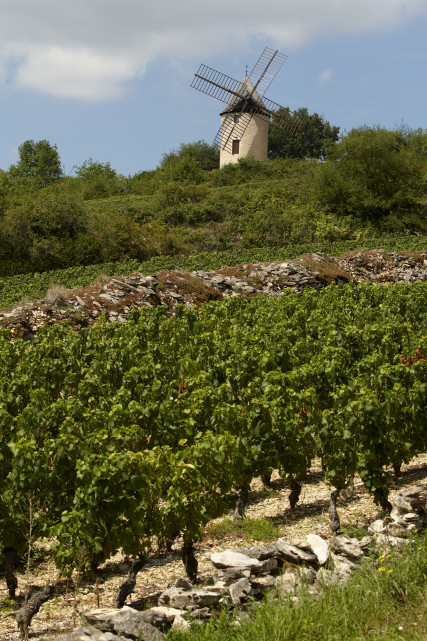 Moulin Sorine