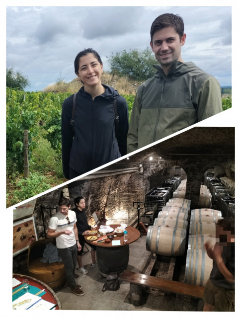 visite des vignes et des caves