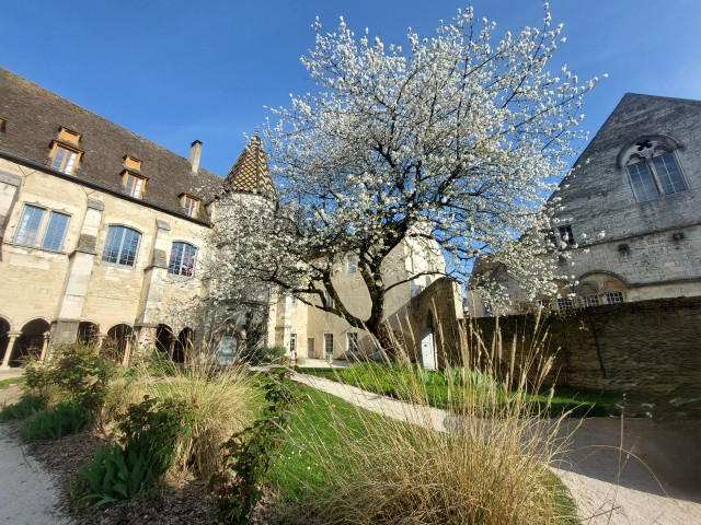 cloître N.Dame
