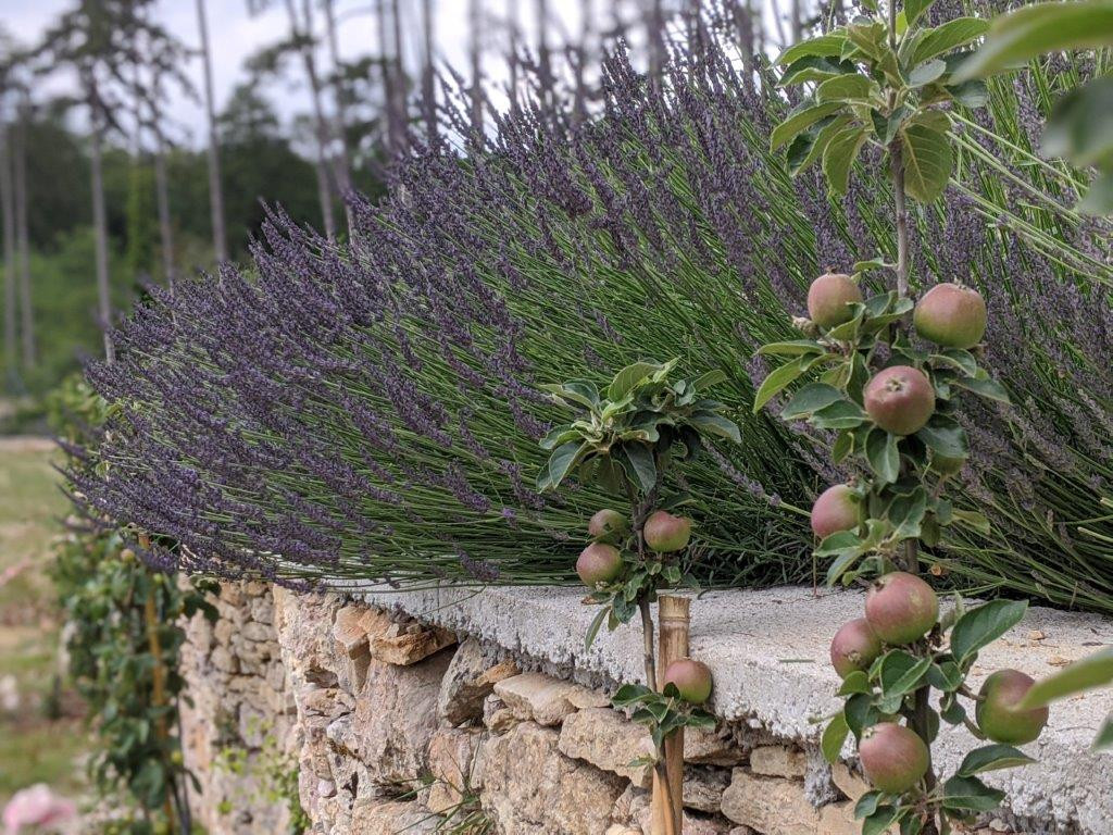 00100lrportrait-00100-burst20200610155355106-cover-2540989