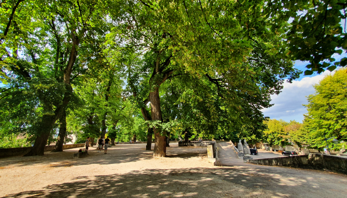 10022026-bis-4569328