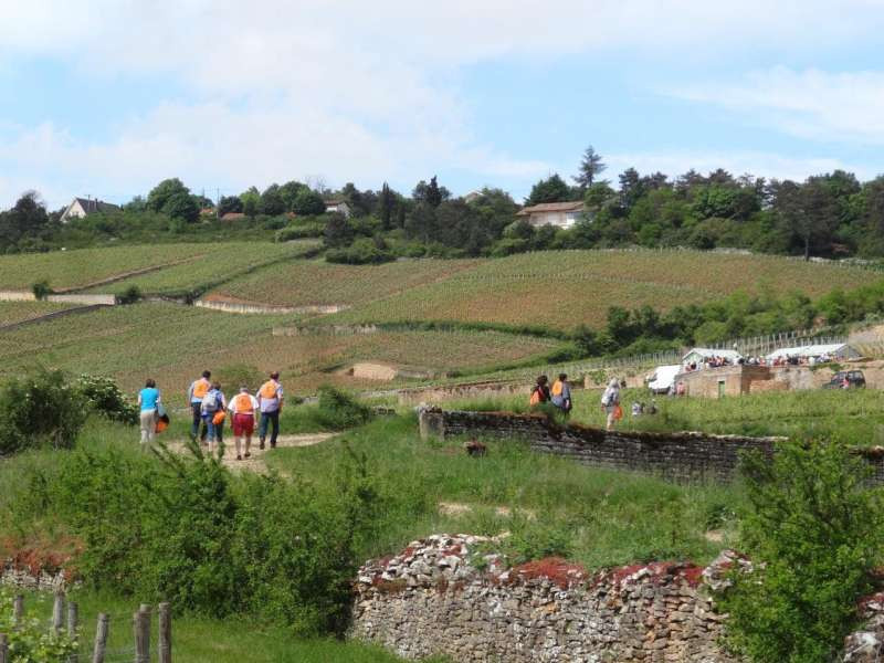 800x600-dsc07169-678272-2017564 800x600-dsc07169-678272-2017564