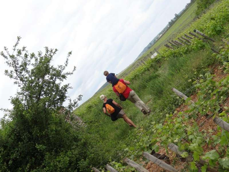 800x600-dsc07186-678277-2017567 800x600-dsc07186-678277-2017567