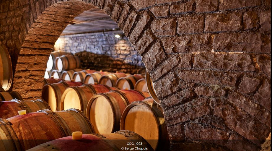 cave-besancenot-vdv2023-4326291 cave-besancenot-vdv2023-4326291
