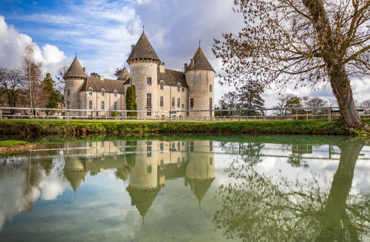 cha-teau-de-savigny-le-s-beaune-cyril-bonci-2024-4595343