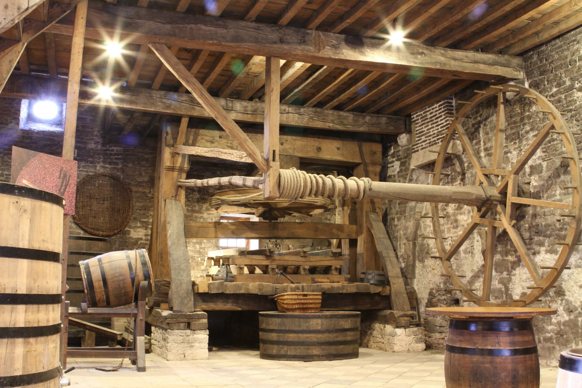 cuverie-de-la-coll-giale-maison-j-drouhin-3708498