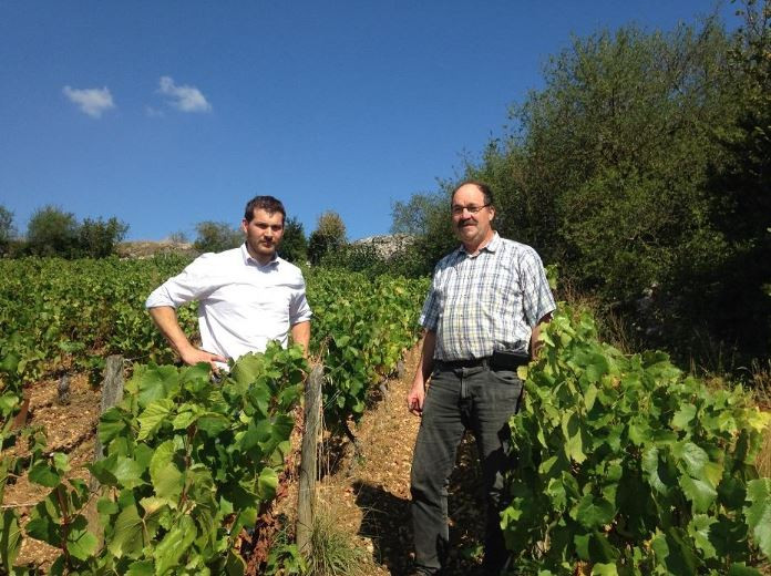 domaine-rocault-visuel-3-4325798