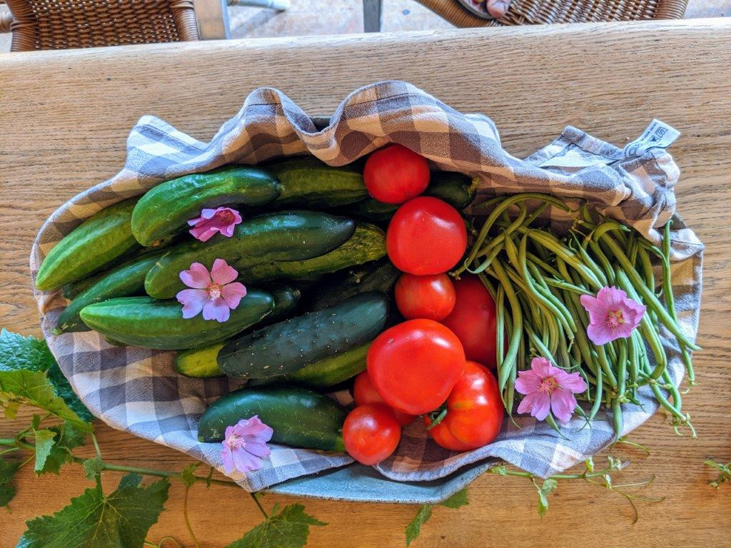 img-20200710-193256-2540987