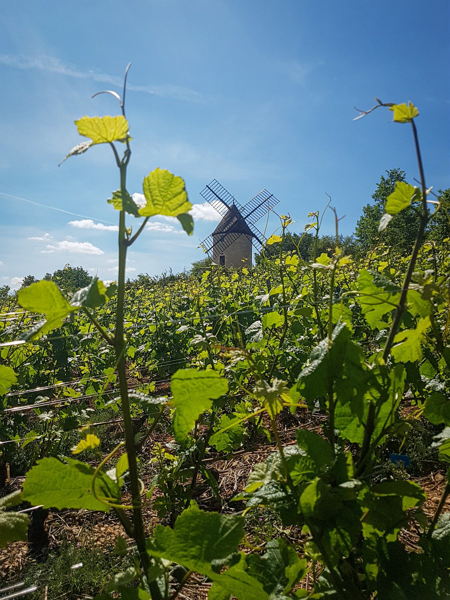 otbeaune-009032-bd-4609919