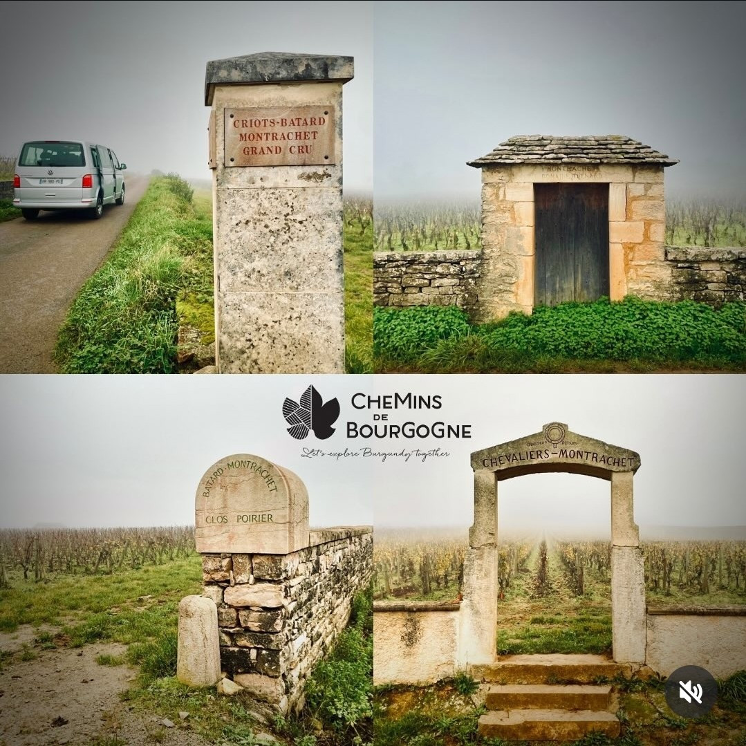 visuel-insta-4546817