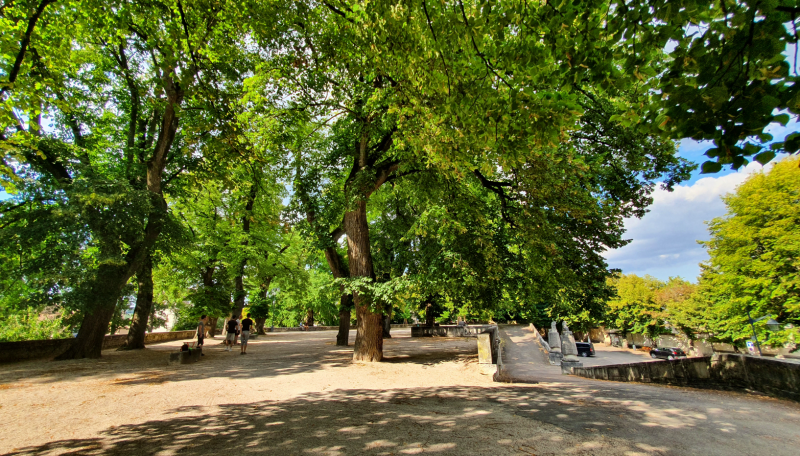 10022026-bis-4569322