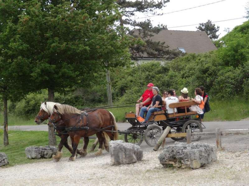 800x600-dsc07294-678279-2017569 800x600-dsc07294-678279-2017569