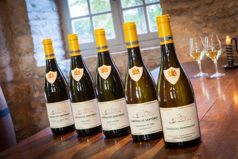 chardonnay-1942080 chardonnay-1942080