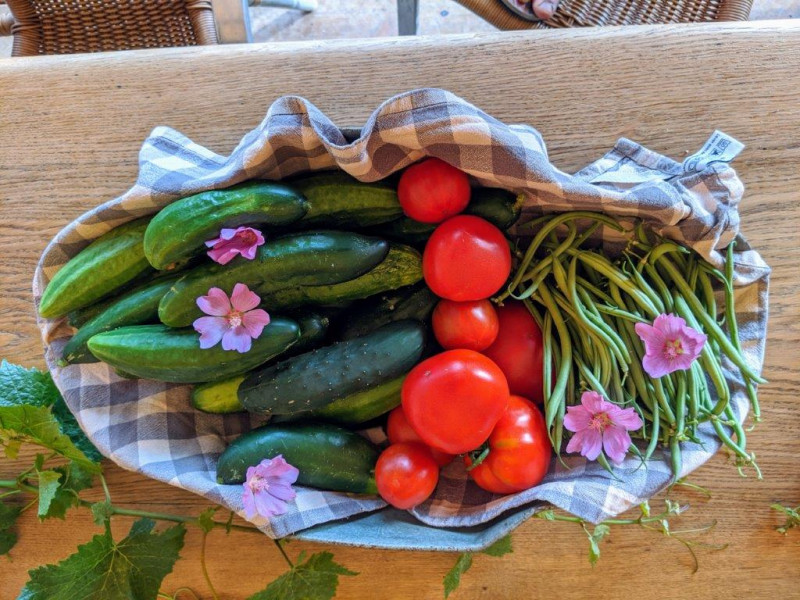 img-20200710-193256-2540987