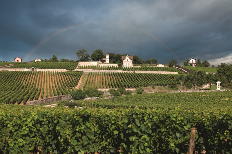 maison-du-dimanche-de-meursault-4416967