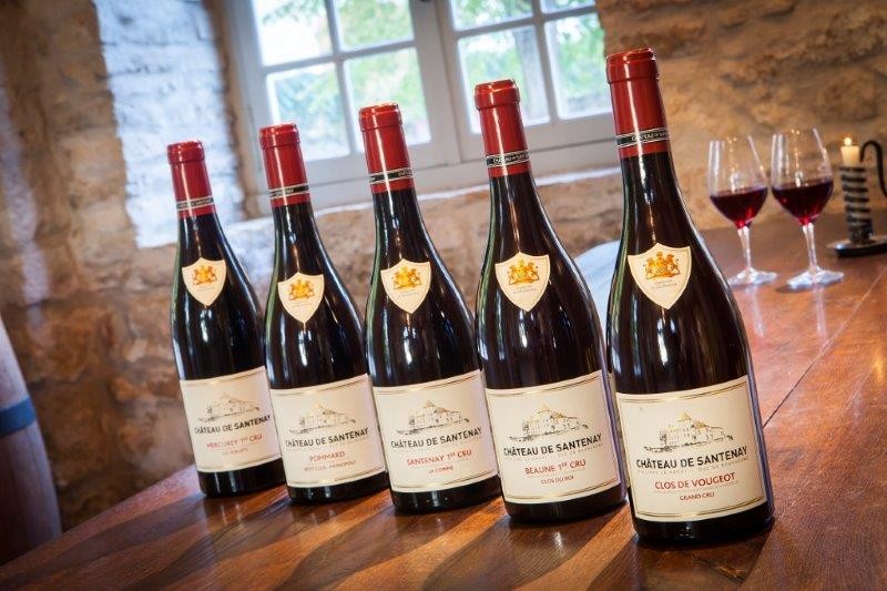 pinot-noir-1942093 pinot-noir-1942093