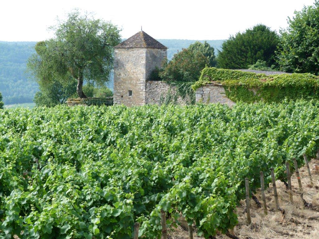 SAINTROMAIN SaintRomain Beaune et le Pays Beaunois Tourisme